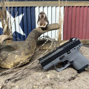 Beretta APX