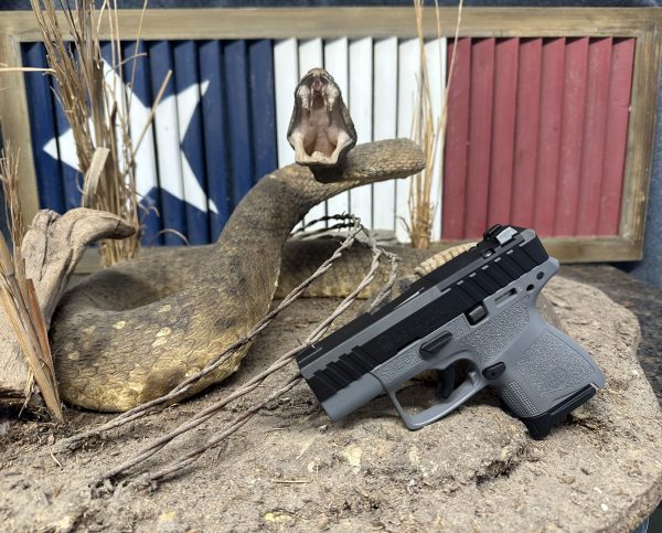 Beretta APX