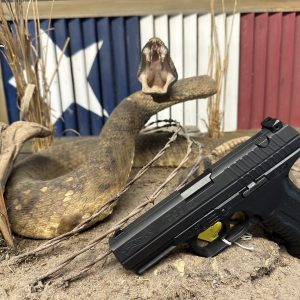 Walther P99QA