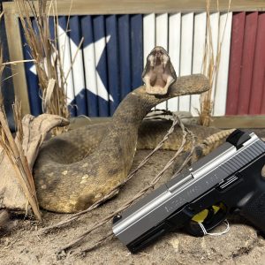 Smith & Wesson SW9VE