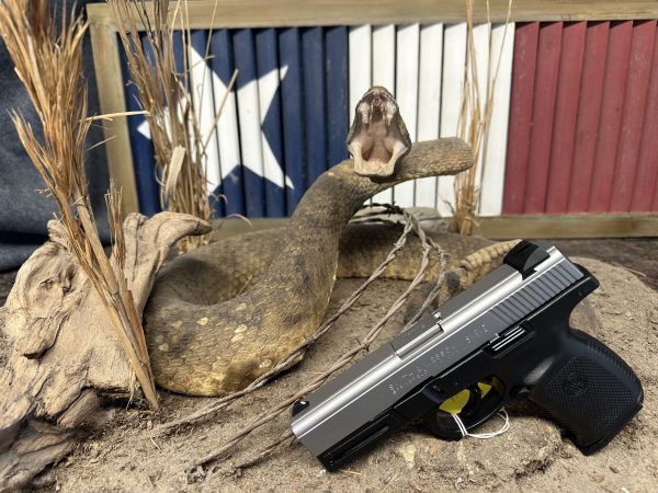 Smith & Wesson SW9VE