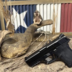 Smith & Wesson M & P Sheild EZ