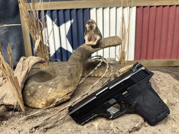 Smith & Wesson M & P Sheild EZ