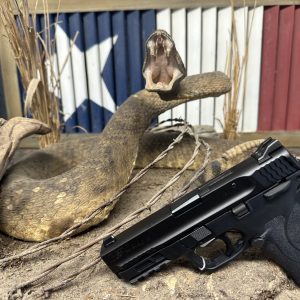 Smith & Wesson M & P Sheild EZ