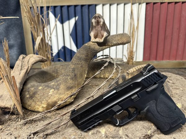 Smith & Wesson M & P Sheild EZ