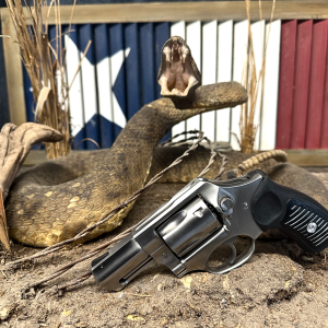 Ruger SP101