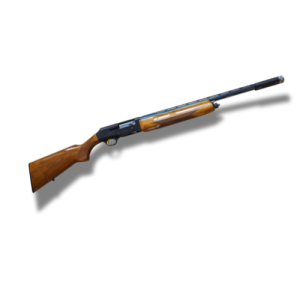 Shotgun