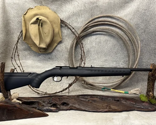 RUGER AMERICAN BOLT